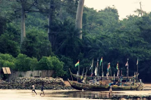 Busua