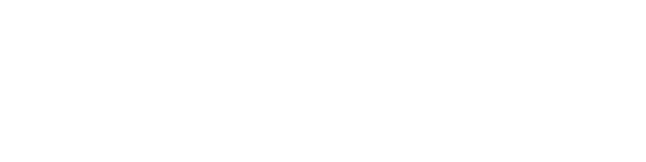 lt-logo-white